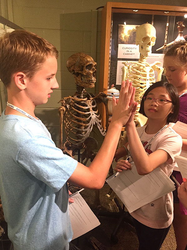 Finding Your Roots campers examine human and neanderthal skeletons.