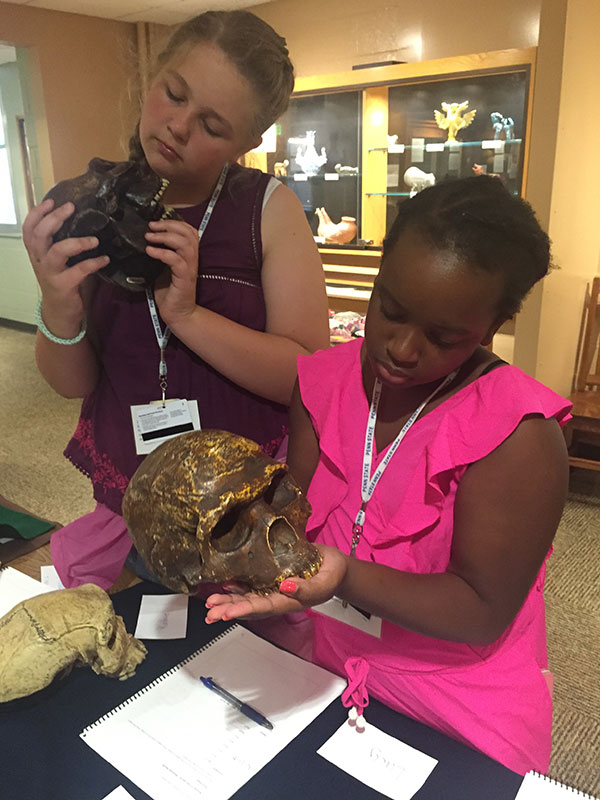 Finding Your Roots campers examine hominin skulls.