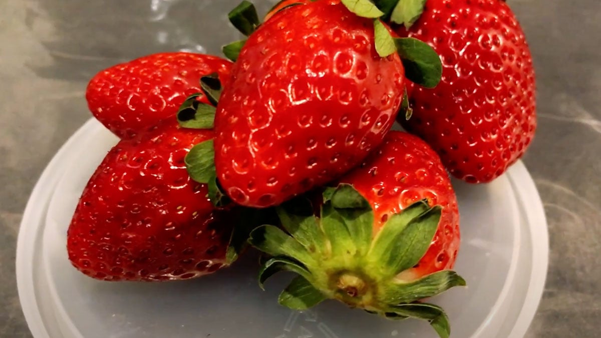 Plate with five bright red, ripe strawberries