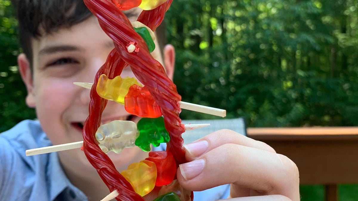 Kid holding a DNA model made of Twizzlers,
				Gummy Bears, and toothpicks in front of his face.