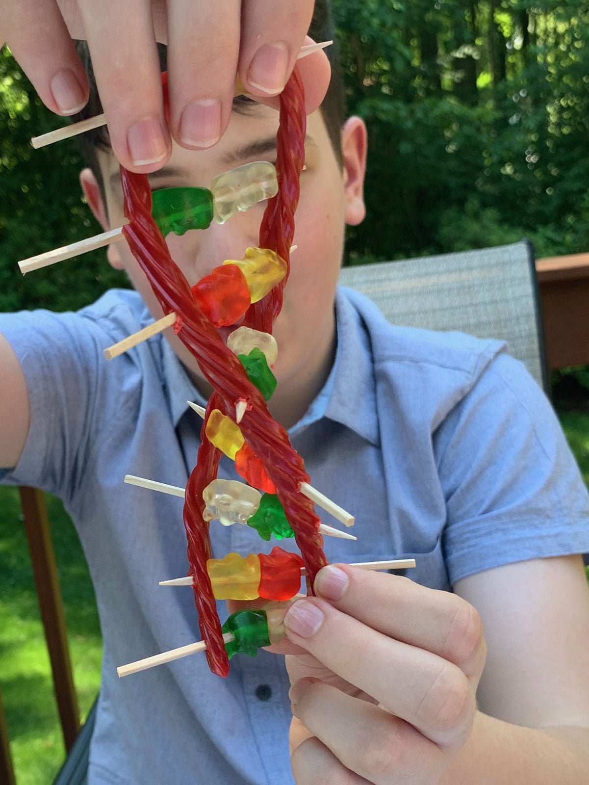 A young man gently twists a model of twizzlers, toothpicks, and gumy bears to form the classic double helix shape of coiled DNA