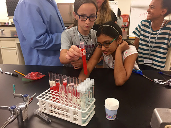 Students examining strawberry DNA.